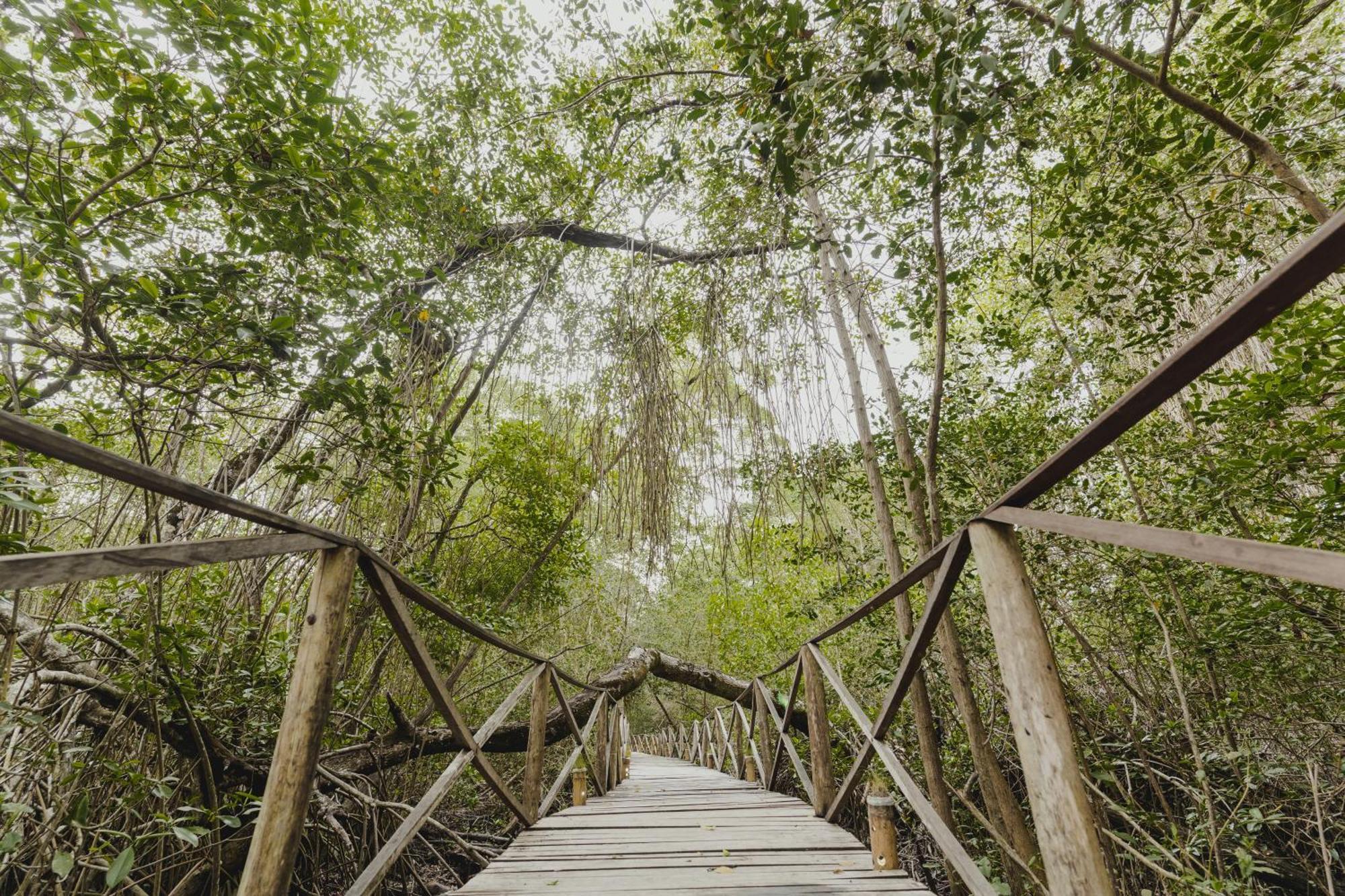 Uuttaaka Eco-Hotel Паломино Екстериор снимка